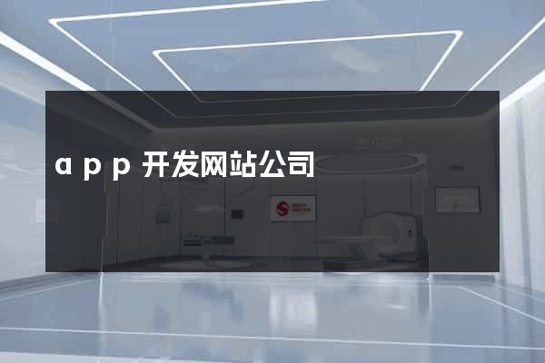 app开发网站公司