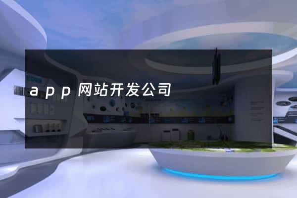 app网站开发公司