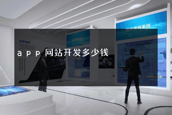 app网站开发多少钱