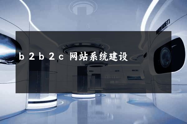 b2b2c网站系统建设