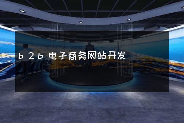 b2b电子商务网站开发