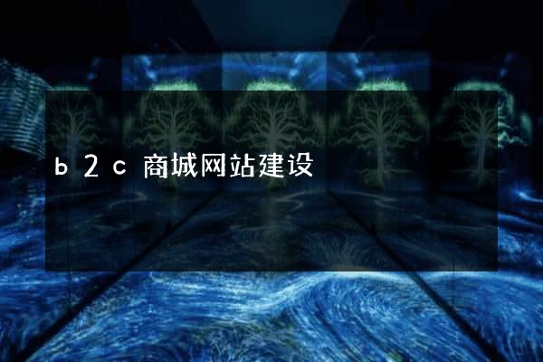 b2c商城网站建设