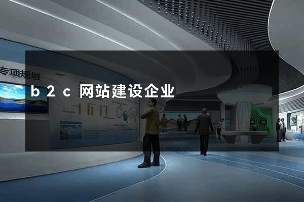 b2c网站建设企业