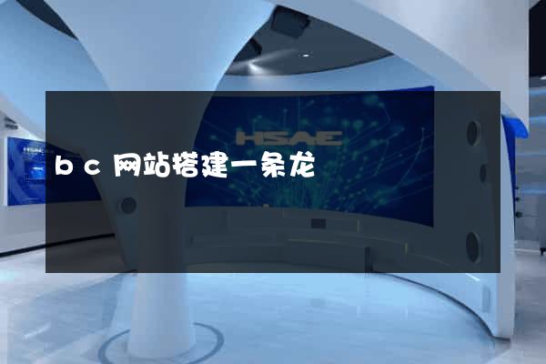 bc网站搭建一条龙