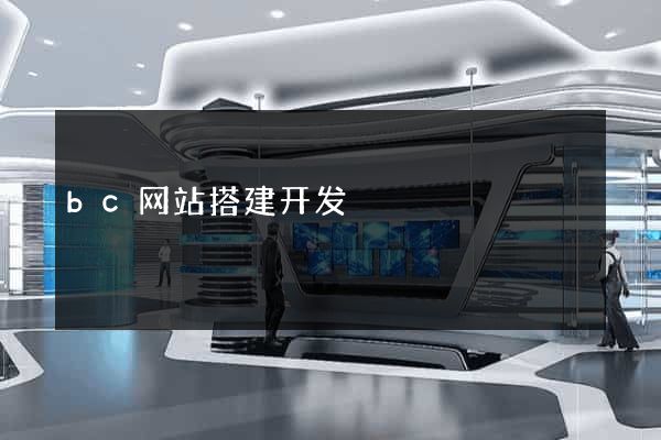 bc网站搭建开发