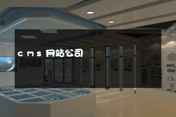 cms网站公司