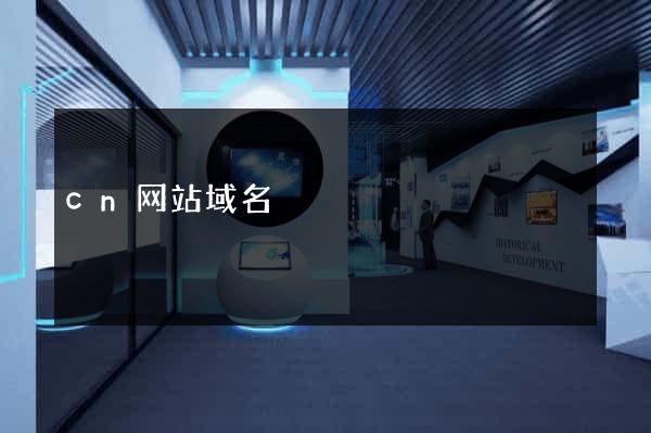 cn网站域名