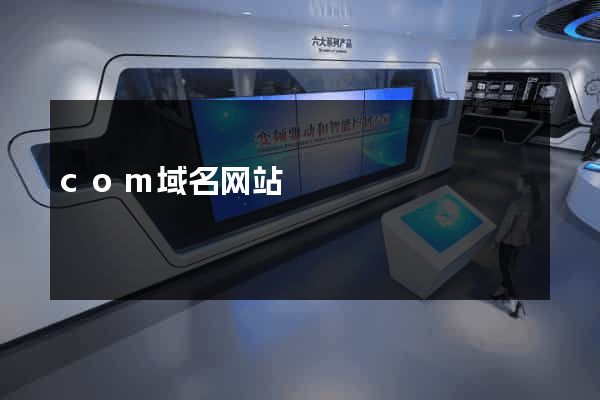 com域名网站