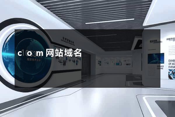 com网站域名
