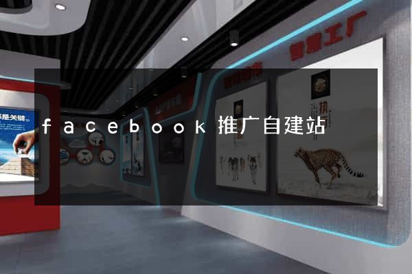 facebook推广自建站