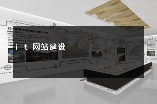 it网站建设