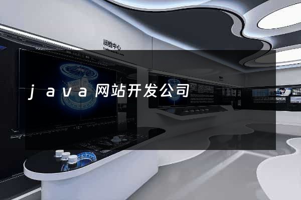 java网站开发公司