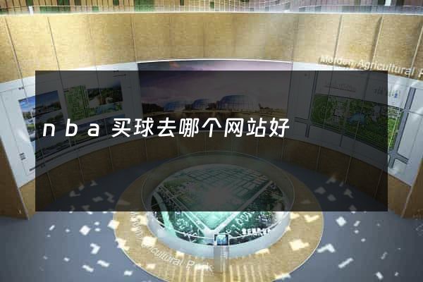 nba买球去哪个网站好