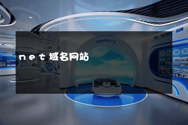 net域名网站