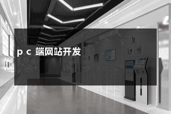 pc端网站开发