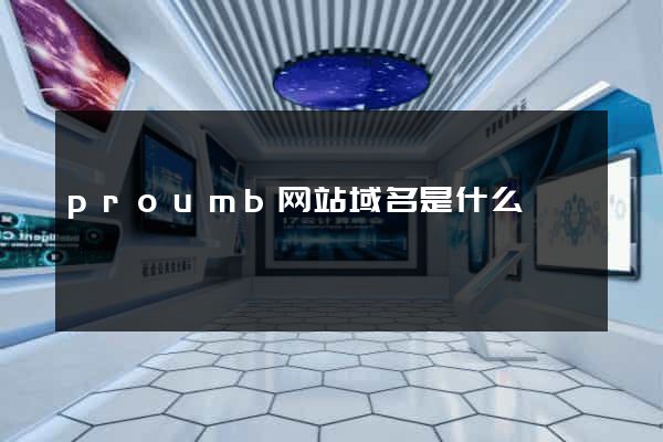 proumb网站域名是什么