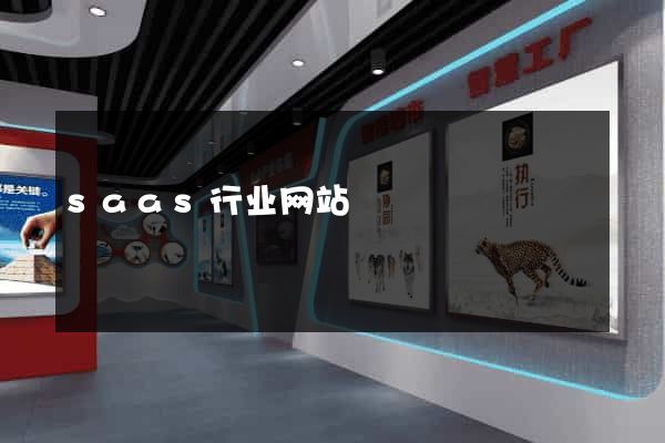 saas行业网站