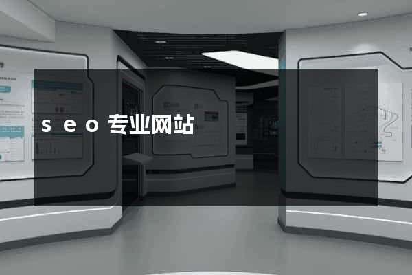 seo专业网站