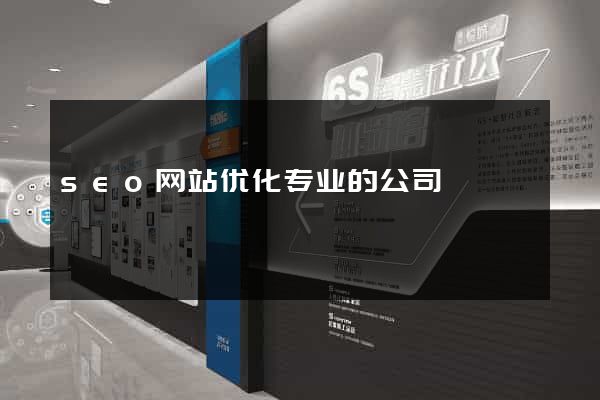 seo网站优化专业的公司