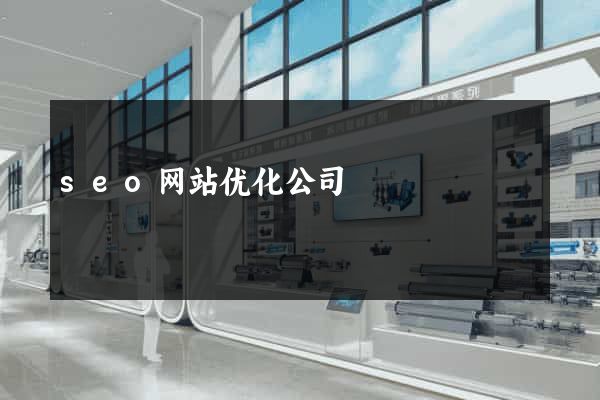seo网站优化公司