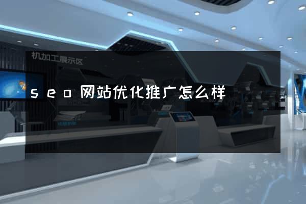seo网站优化推广怎么样