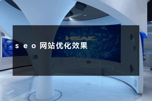 seo网站优化效果