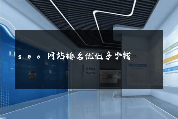 seo网站排名优化多少钱