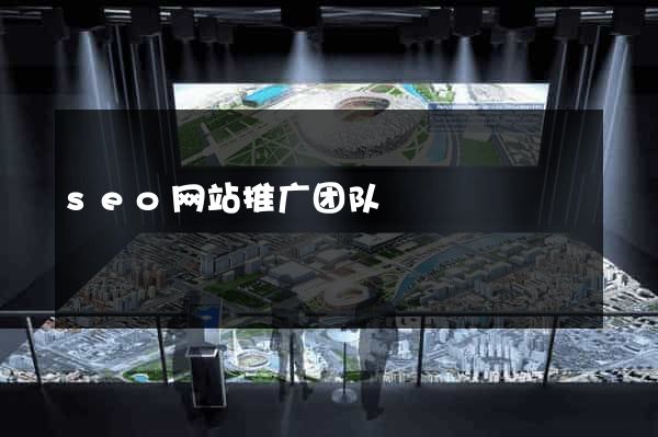 seo网站推广团队