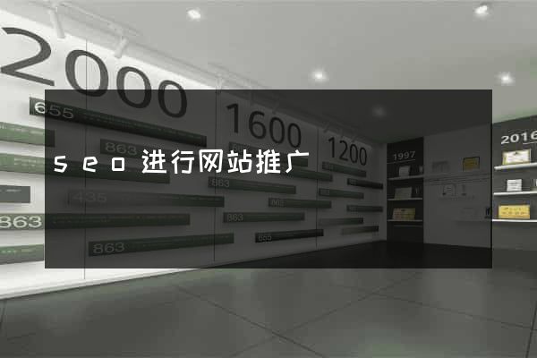 seo进行网站推广