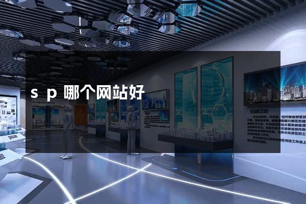 sp哪个网站好