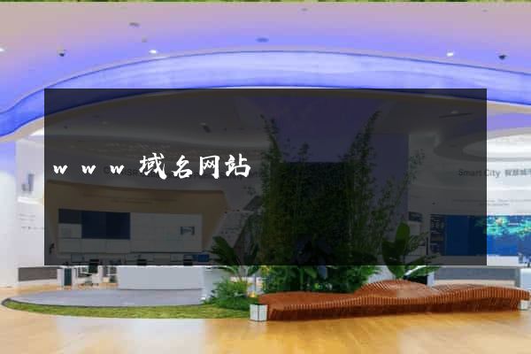 www域名网站