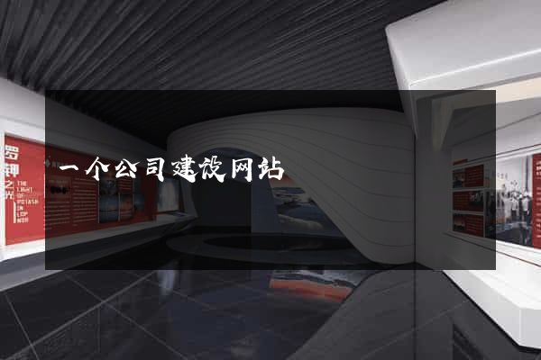 一个公司建设网站