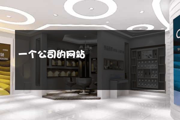 一个公司的网站