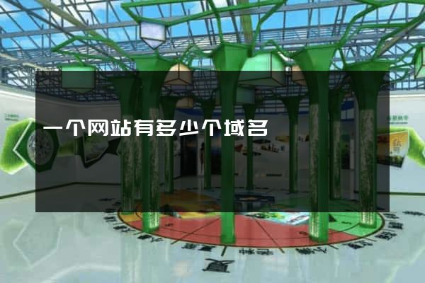 一个网站有多少个域名