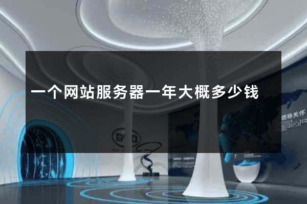 一个网站服务器一年大概多少钱