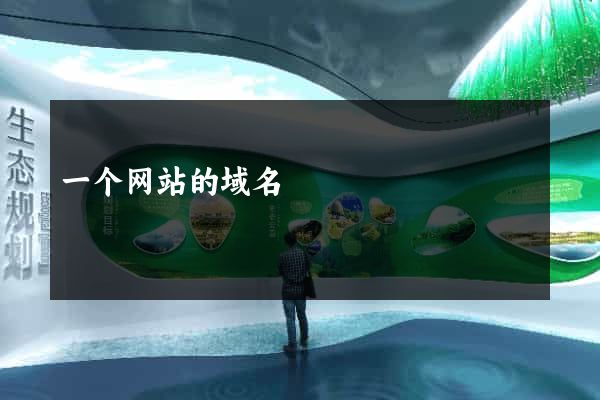 一个网站的域名