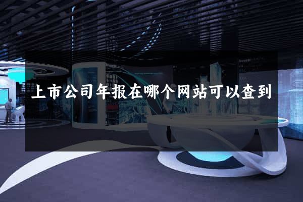 上市公司年报在哪个网站可以查到