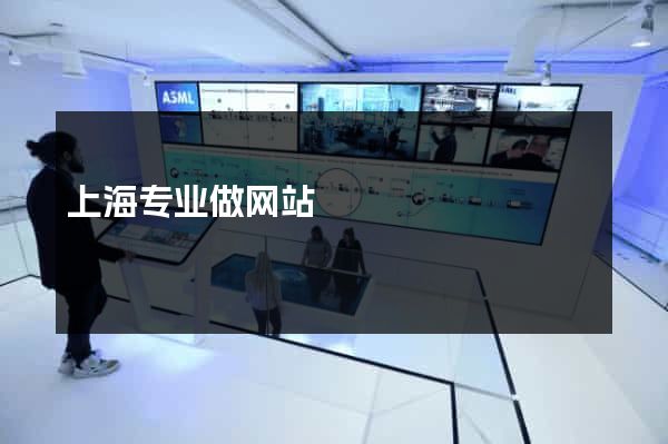 上海专业做网站