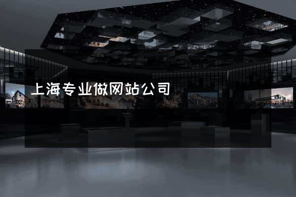 上海专业做网站公司