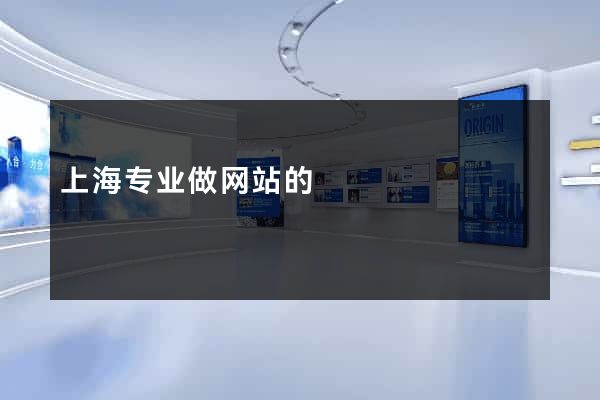 上海专业做网站的