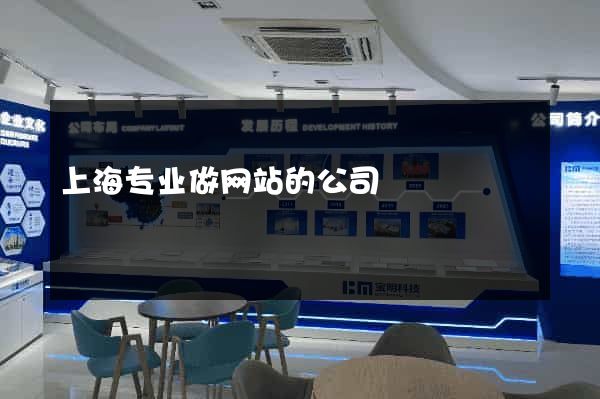 上海专业做网站的公司