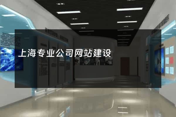 上海专业公司网站建设