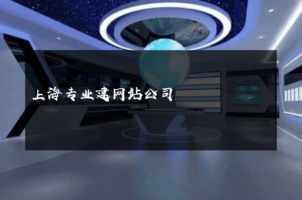 上海专业建网站公司