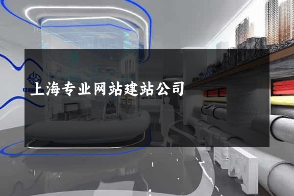 上海专业网站建站公司