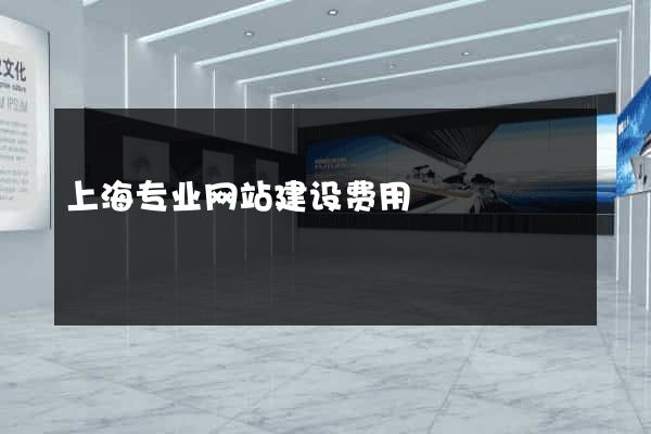 上海专业网站建设费用