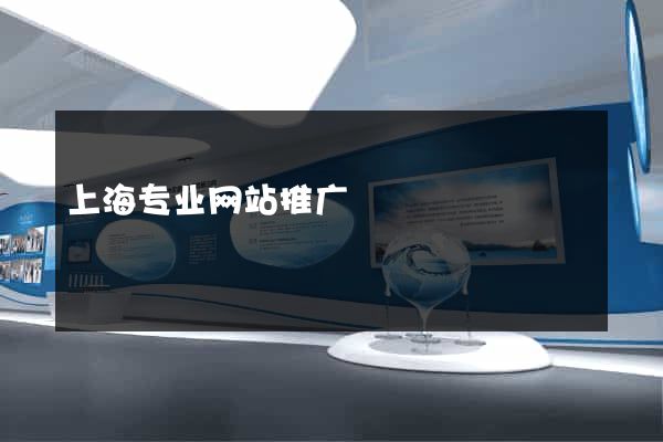上海专业网站推广
