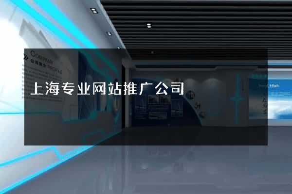 上海专业网站推广公司