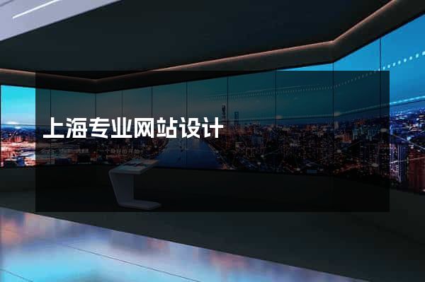 上海专业网站设计