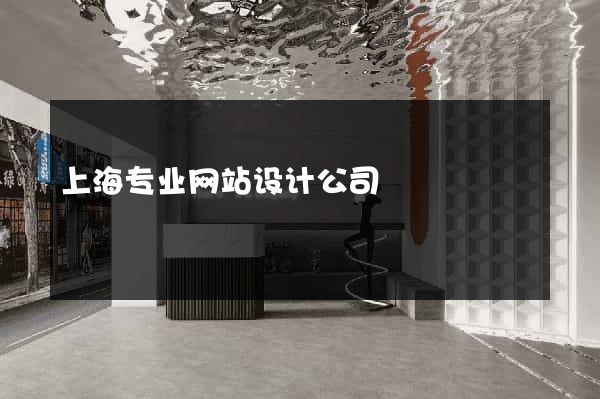 上海专业网站设计公司