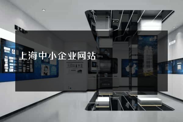 上海中小企业网站